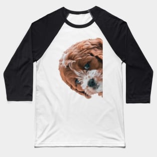 Puppy Peekaboo Baseball T-Shirt